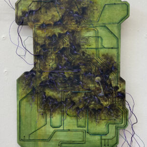 Mycelial Algorithms