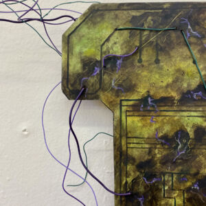 Mycelial Algorithms