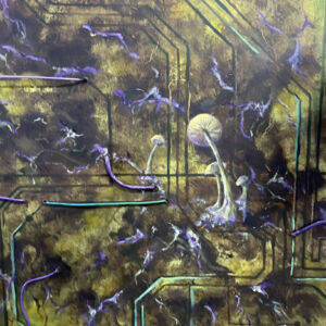Mycelial Algorithms