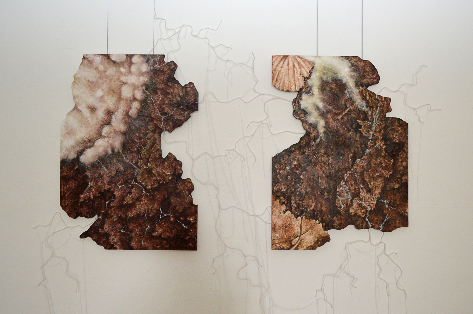 Mycelium
